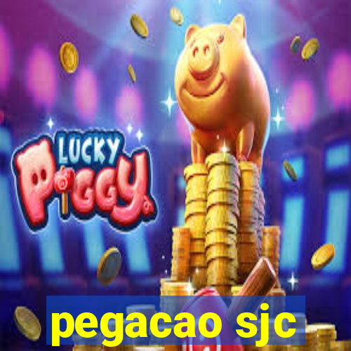 pegacao sjc